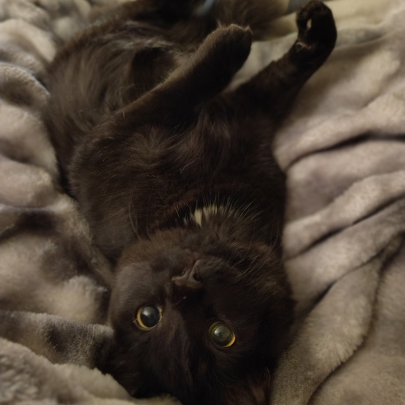 🚨🚨 Share Show🚨🚨🚨Hand Crafted Items &More🚨 Stay 🟢 - Picture 3 of 12